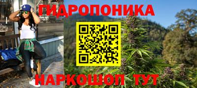 гидра Старая Купавна